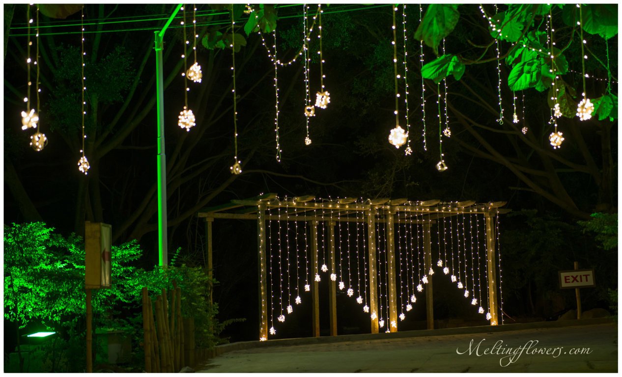 miraya-greens-lights-decorations-1b